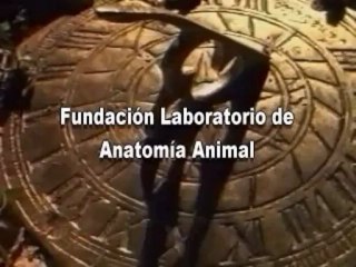 Fundacion Laboratorio de Anatomia Animal, objetivos (en Inglés)