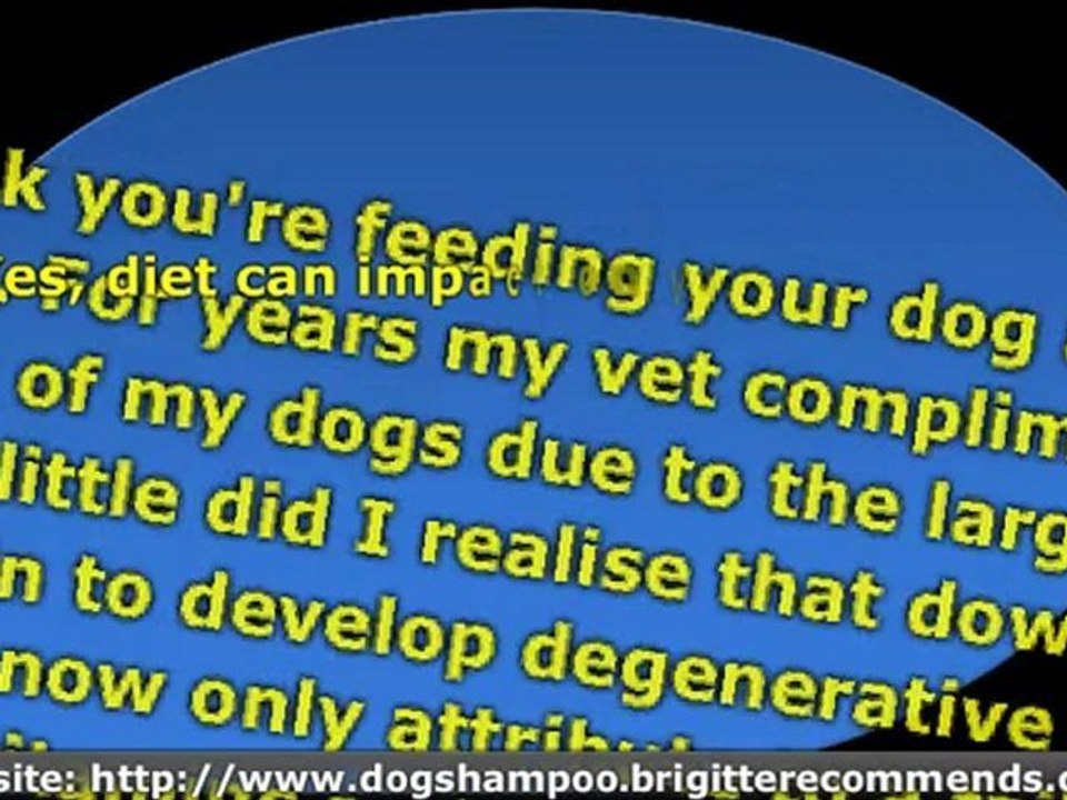 Natural Dog Shampoos are Good For Your Dog Skin and Coat