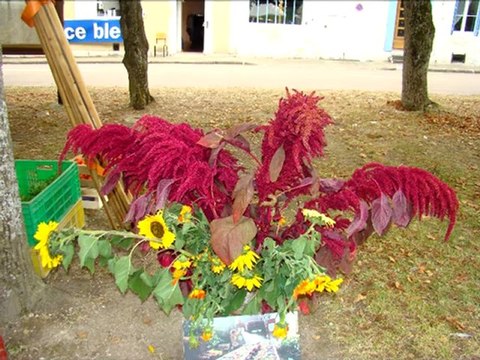 Diaporama des journées du patrimoine 2012