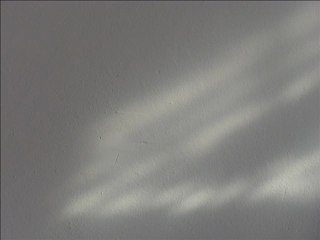 Summer abstraction: Václav Kovalčík, August  2012