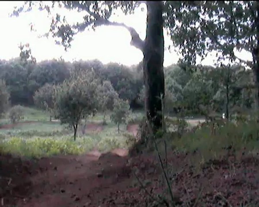 entrainement du 20 08 12