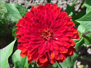 The summer bloom: Václav Kovalčík, August 2012