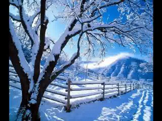 Ik Pagli mera Naam jo le sharmaye bhi