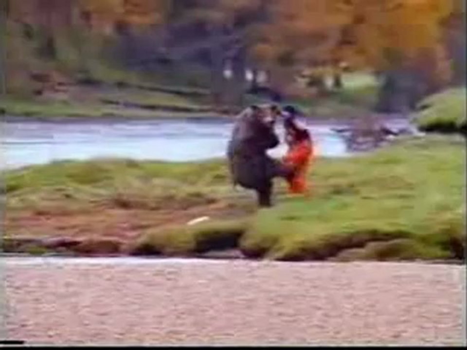the bear is boxing and kicking somebody's ass