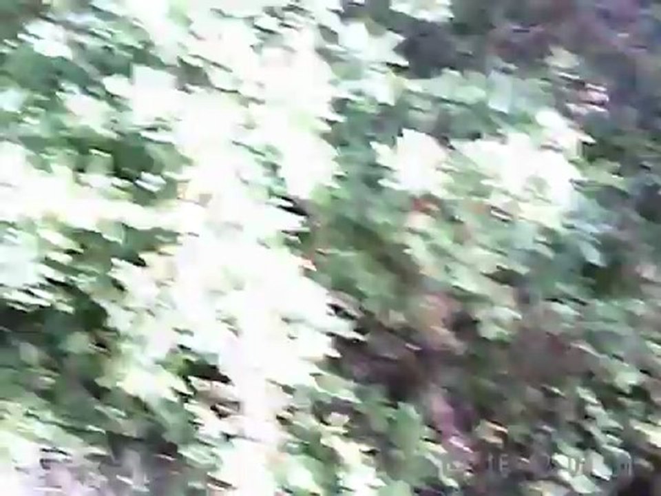b2012091612h