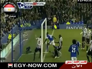 فيديو: أهداف مباراة إيفرتون و نيوكاسل 17-9-2012 | الدوري الإنجليزي