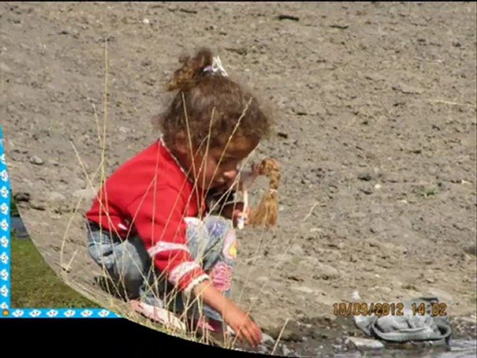 Ardahan
