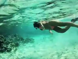 Miss Reef January 2012