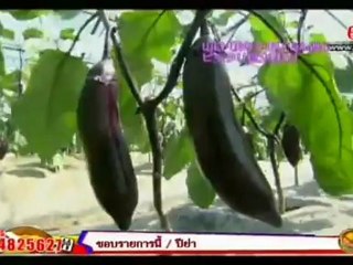 ยอดคนย่นเวลา 17-Sep-2012