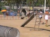 Eden Eden Agility Roquebrune 2012 2°