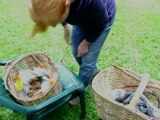 En Colombie, des paresseux reprennent du poil de la bête