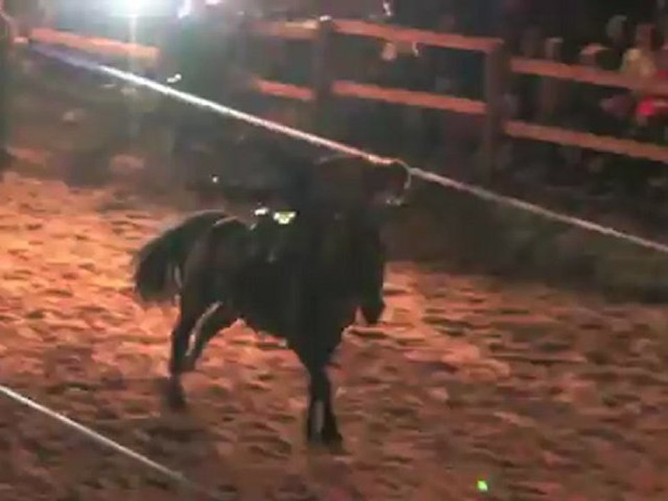 show équestre