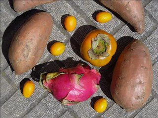 Still life of the independence: Václav Kovalčík, May 2012