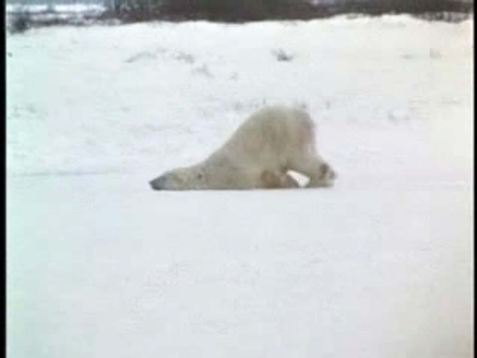 Funny, - Friday_vs_Monday