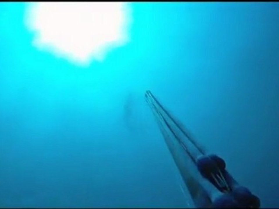 Frayeur lors d'une chasse sous-marine