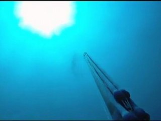Frayeur lors d'une chasse sous-marine
