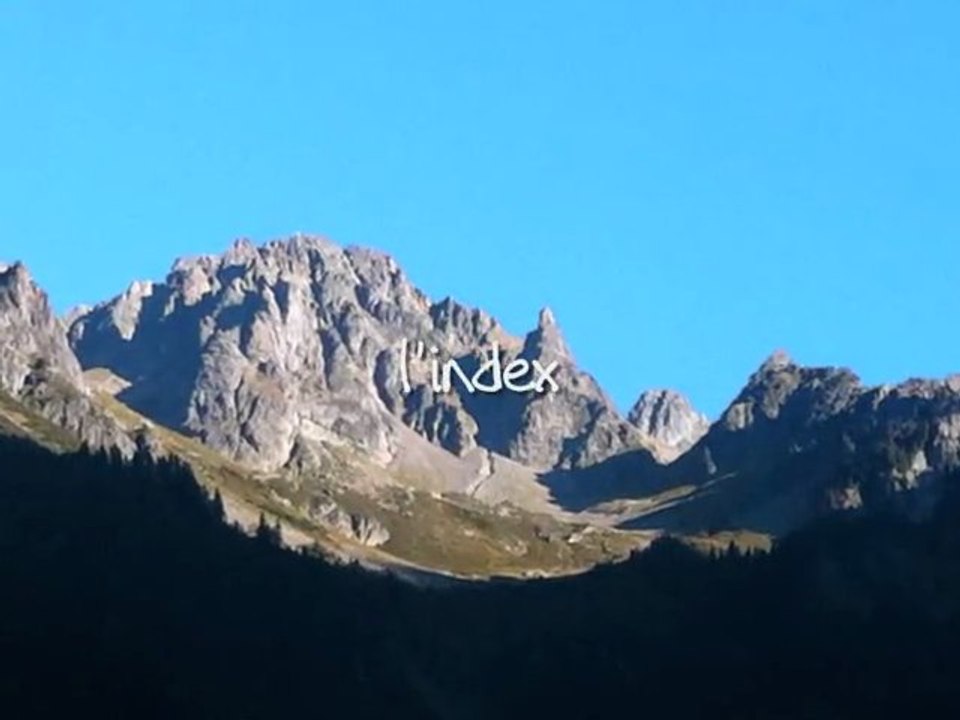 Index