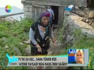 Kahkahayı Duyan İnek Saba'ya Tekmeyi Bastı