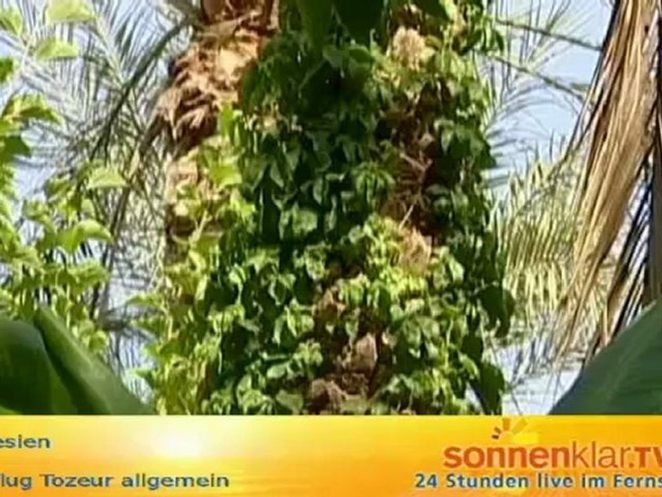 Tipp Tunesien - Ausflug Tozeur allgemein