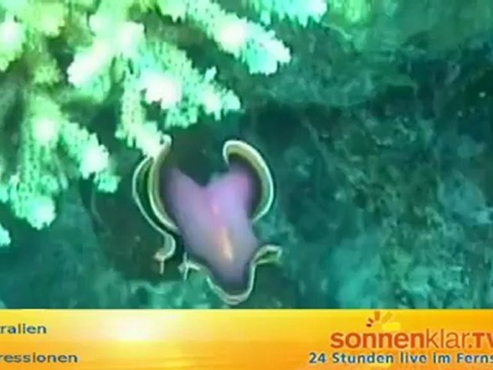 Australien Allgemein (SYD, MEL, PER)