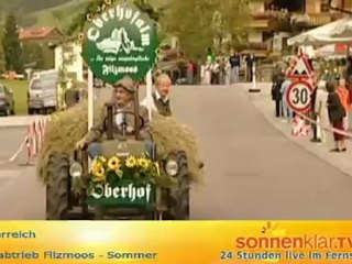 Tipp Almabtrieb Filzmoos - Herbst