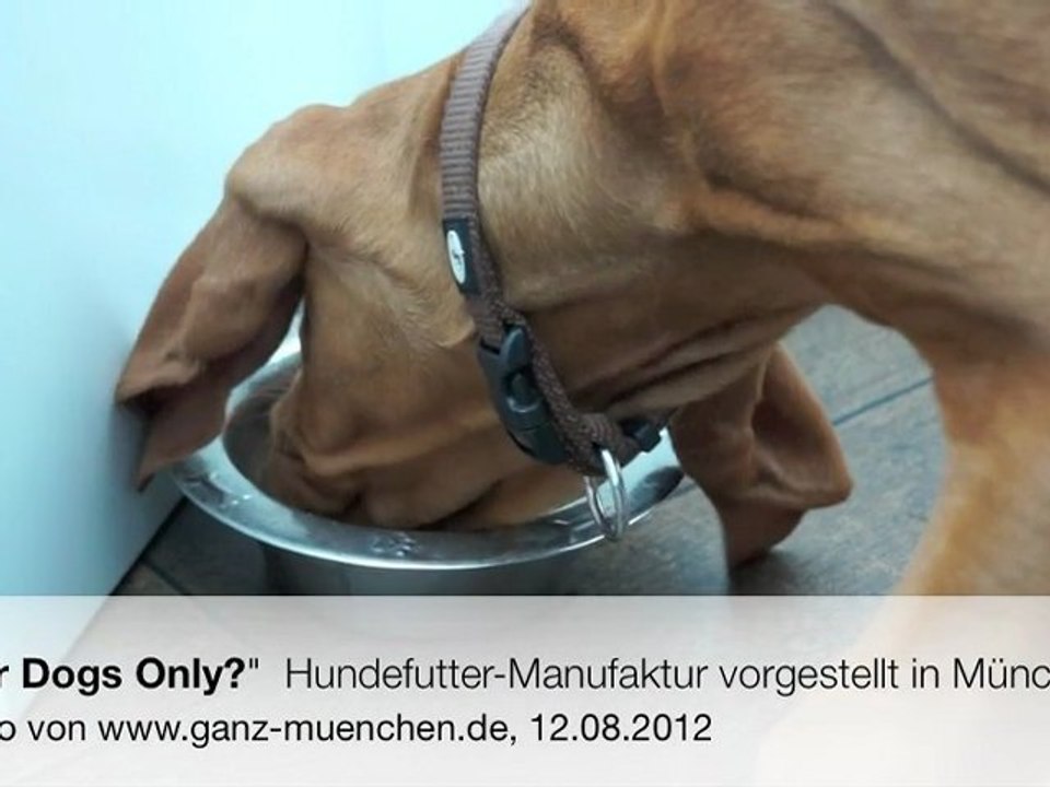 "for dogs only?"  hundefutter-manufaktur vorgestellt in münchen