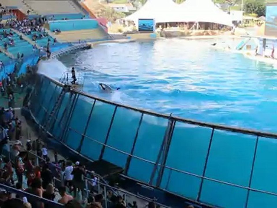 Douche à l'eau de mer