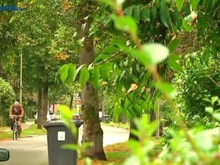 Verjaardagsfeestje Project X in Haren dreigt te escaleren - RTV Noord