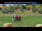 Tenuta Ambelia, Il Direttore Smentisce Le Accuse Dei Lavoratori - News D1 Television TV