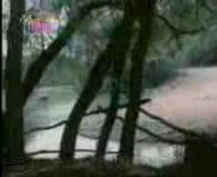 ferdi tayfur sanma sana donerim neselibugün neşelibugun