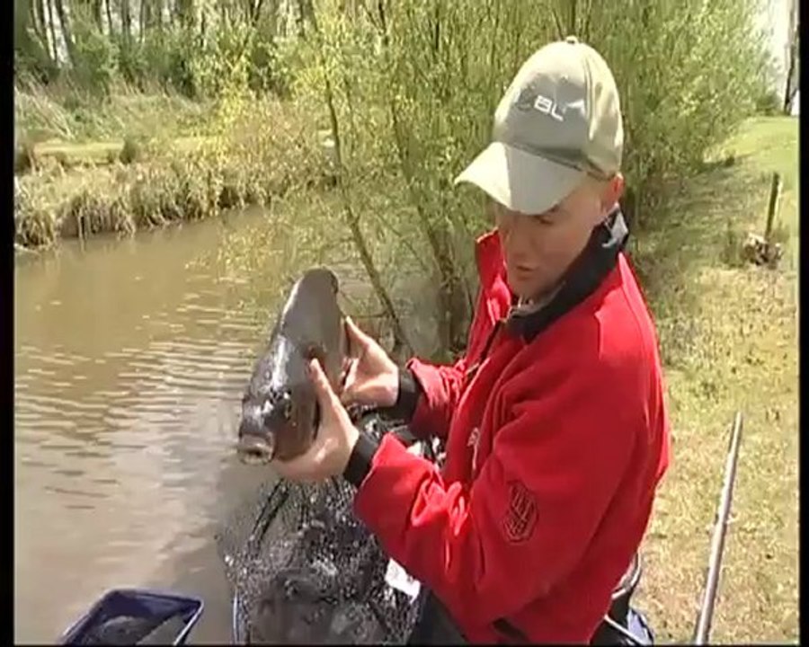 IYCF Target baits