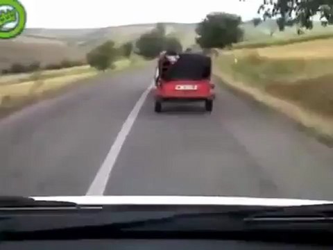 Un cochon saute d'une voiture en marche