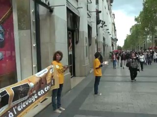 L214 - Monoprix 18 09 2012 au Champs Elysées