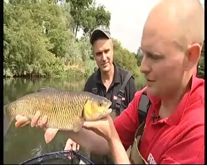 IYCF chub fishing