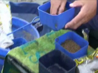 Tom Pickering on pellet preparation