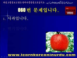 EPS-TOPIK FOR PAKISTANIS LESSON 19