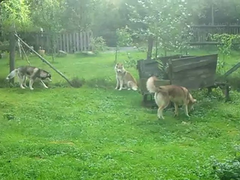 Urlaub sächsische Schweiz Sept. 2012