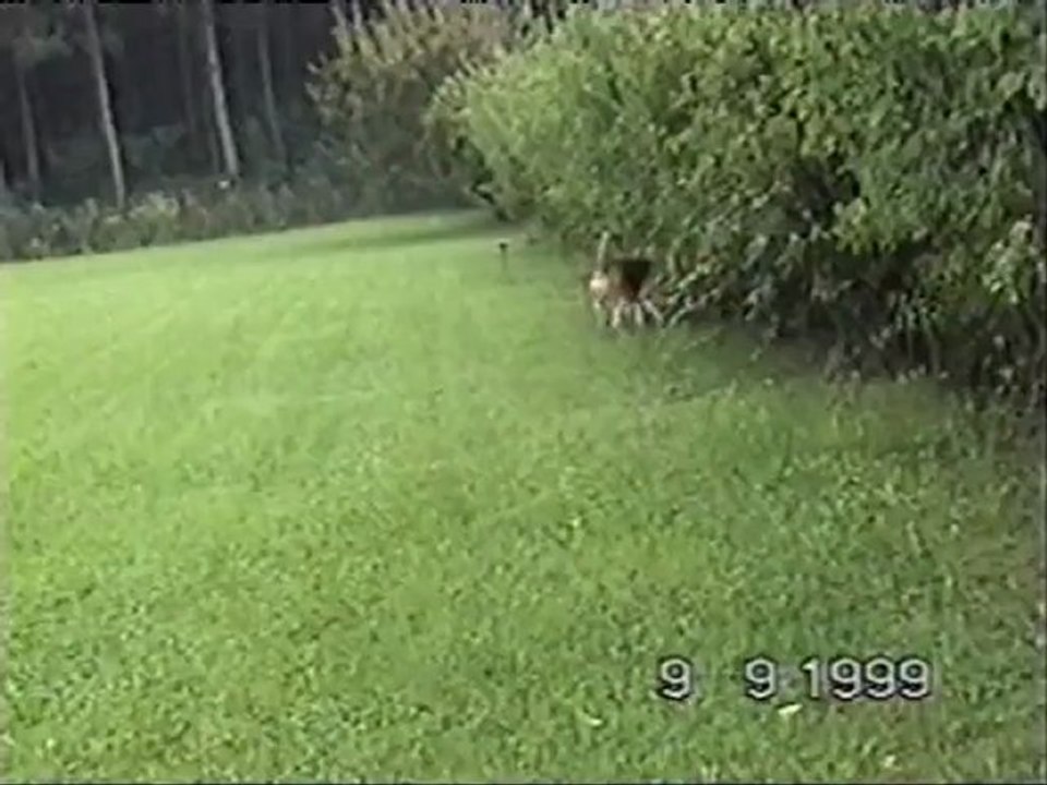 SJK9-Thailand&OGV-Austria