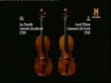 Stradivarius: El bosque de los violines