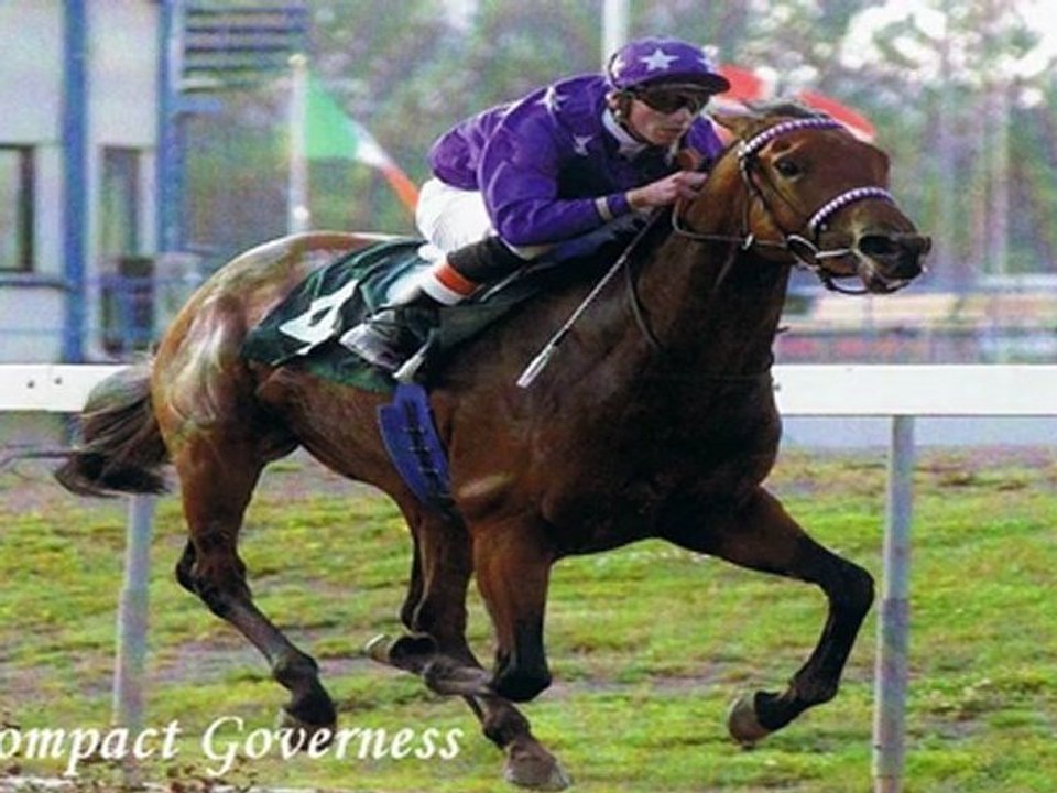 THE HORSE A PERFECT SYMHPONY!