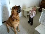 Köpek ile Bebeğin Düeti