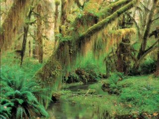 Ali Hydar Mausam Hai Bara Qatil