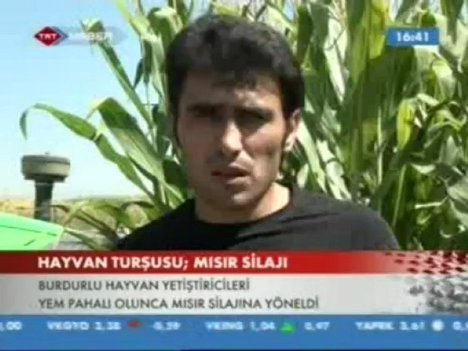 TRT_HAYVAN TURŞUSU MISIR SİLAJI