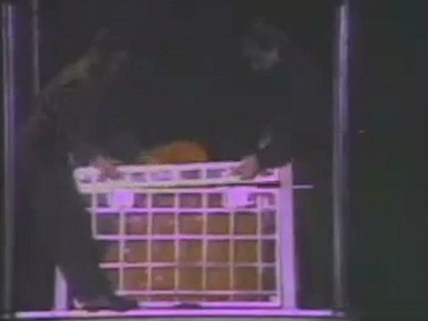 Illusion Works Volumes 3 and 4 by Rand Woodbury (DVD) - Magic Trick