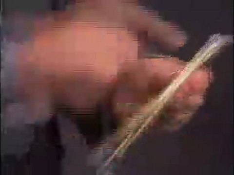 The Art And Magic Of Shaun Robison Volume 2 by East Coast Magic (DVD) - Magic Trick