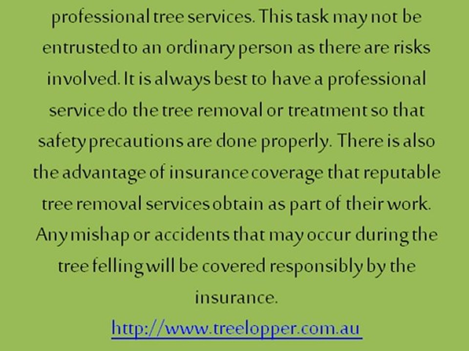 Importance of Removing Harmful Trees