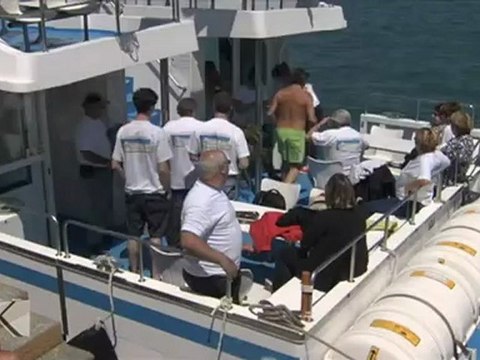 Kresala (es) (Gorlizeko Billano uhartea )