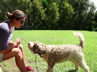 A Two Wave Total - Profile: Tyler Wright