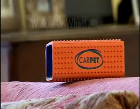 bitenekadar.com: Carpet: Kedi - Köpek Tüy Toplayıcı