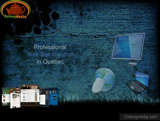 Professional Web Site creation in Quebec